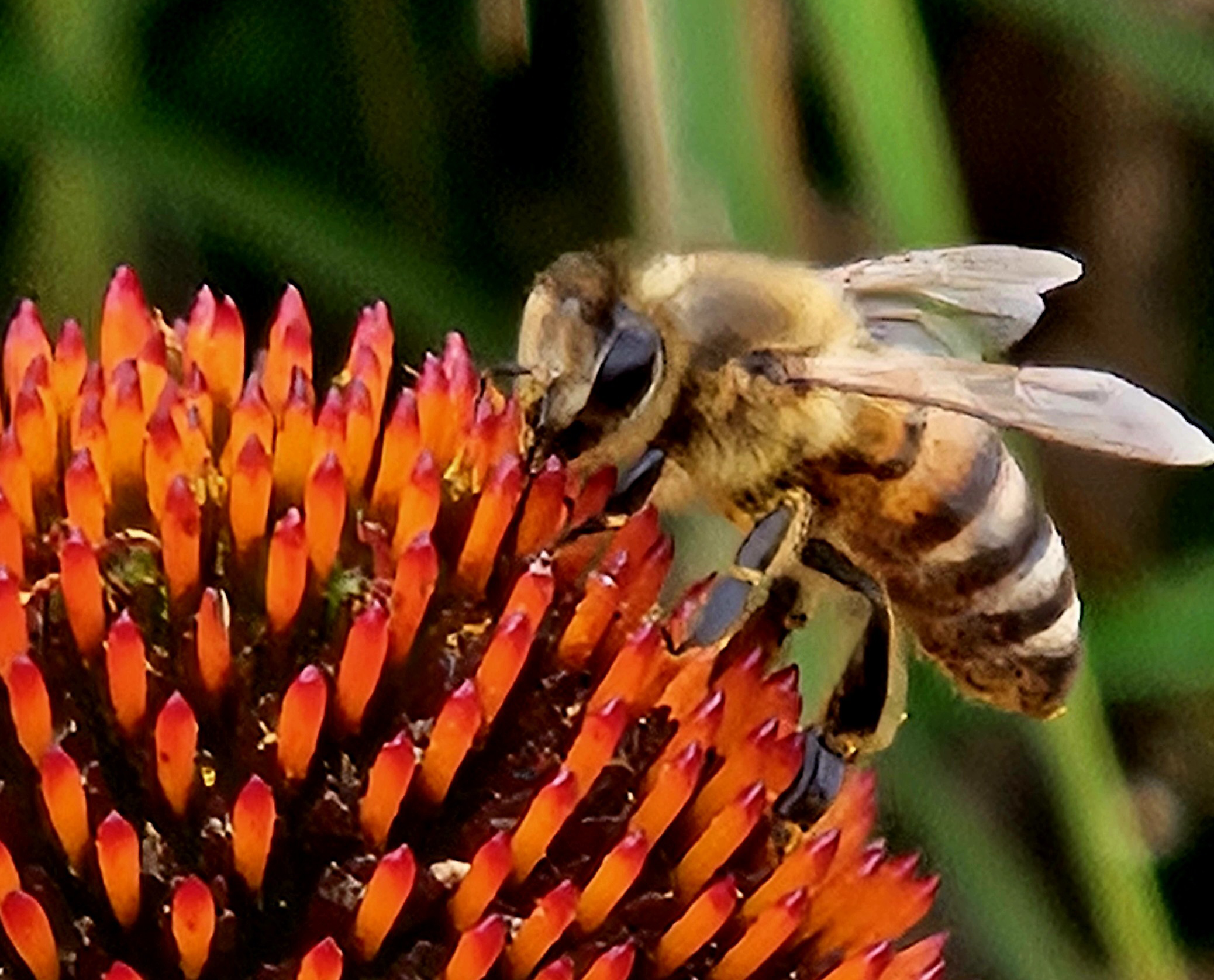 Alternative Heilmethoden