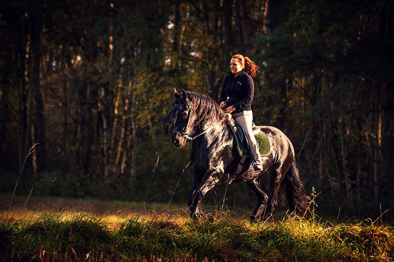 Meine Liebe zur Natur