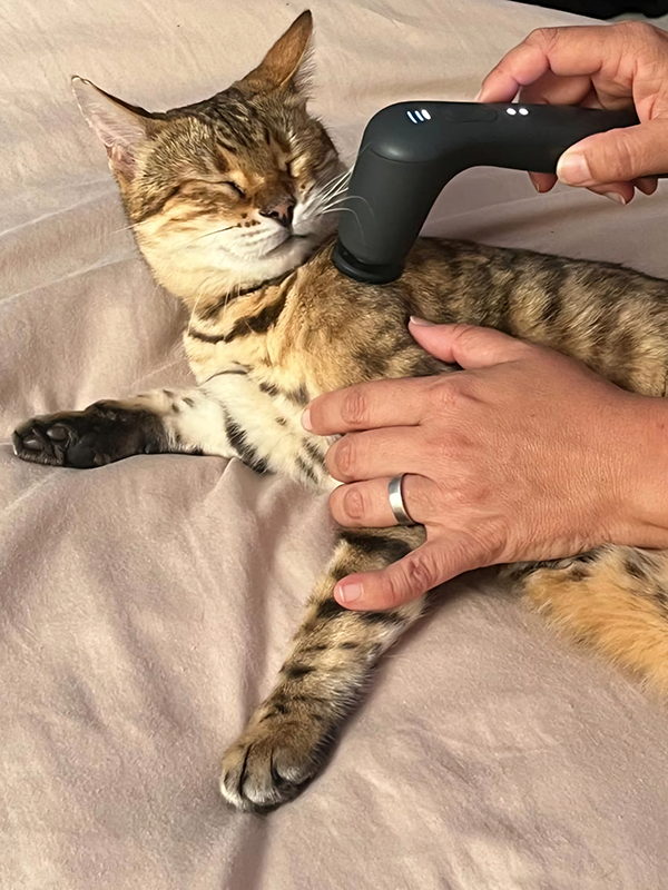 Novafon-Behandlung (Schallwellentherapie)