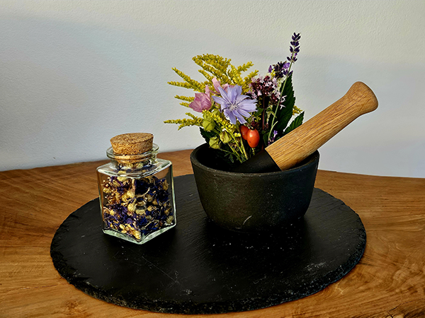 Kräuterheilkunde (Phytotherapie)